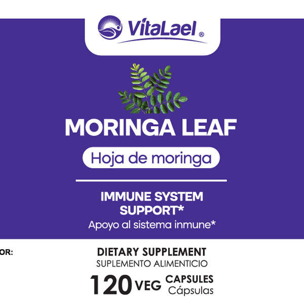 Hoja de Moringa Caps