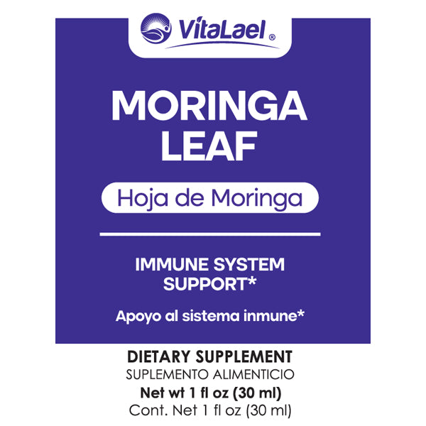 Hoja de Moringa