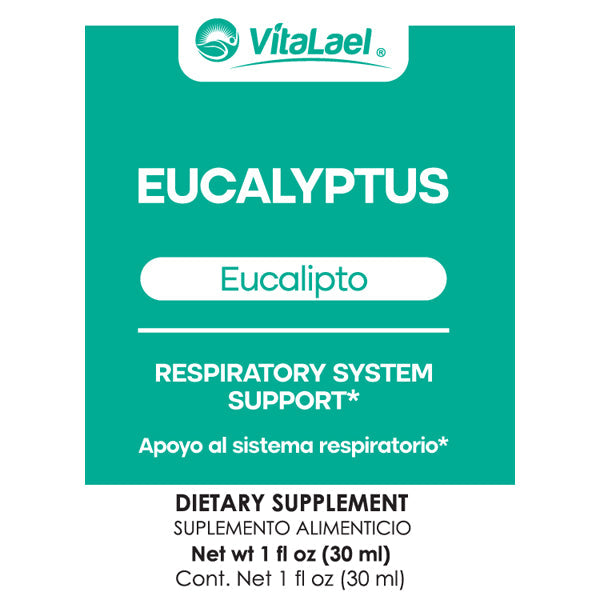 Eucalipto