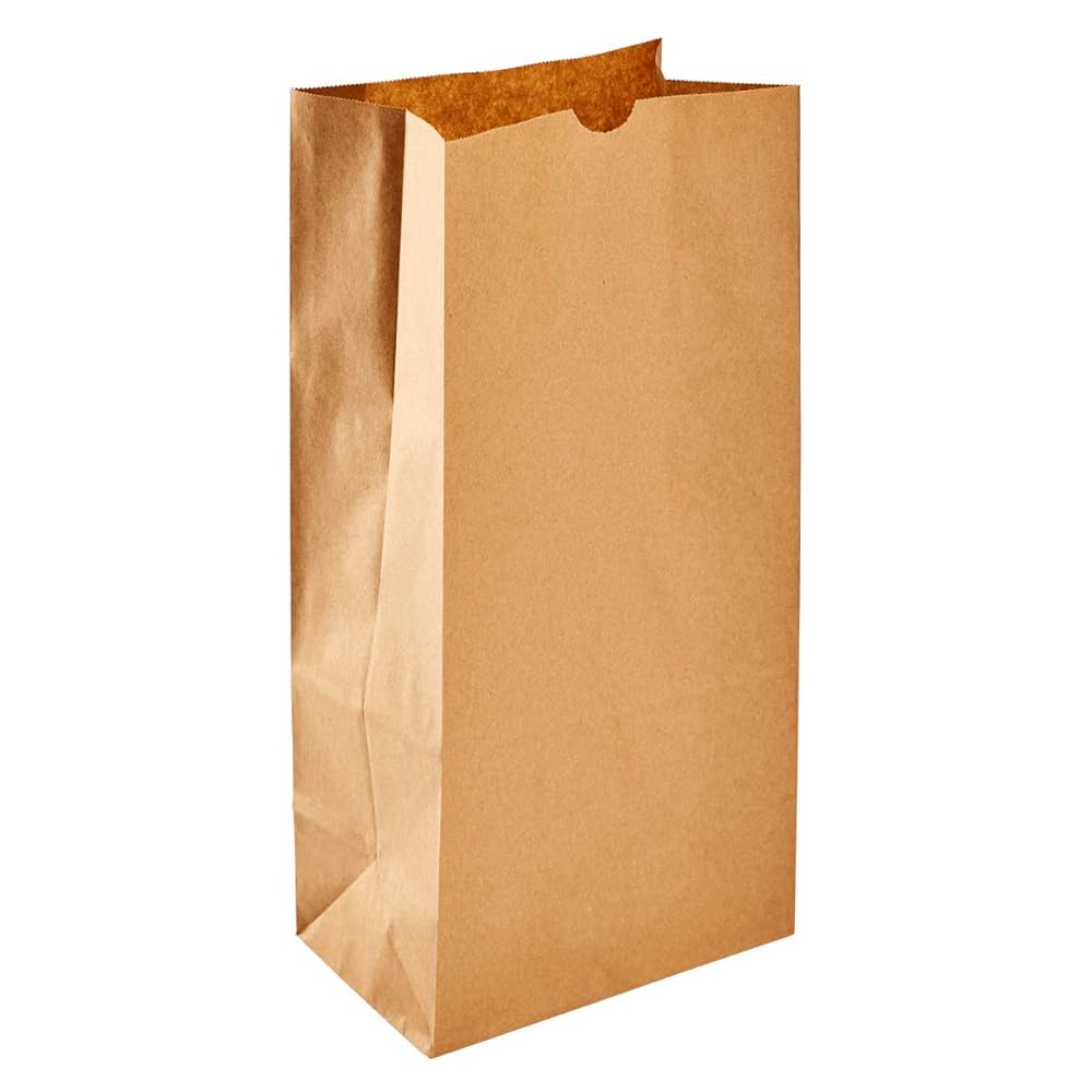 Bolsa De Papel 8Lb PLASTIC (PAPER BAG 8 LB) 500 unidades