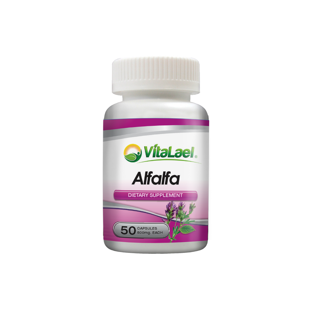 Alfalfa (Medicago sativa)