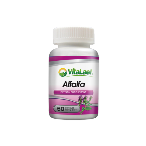 Alfalfa (Medicago sativa)