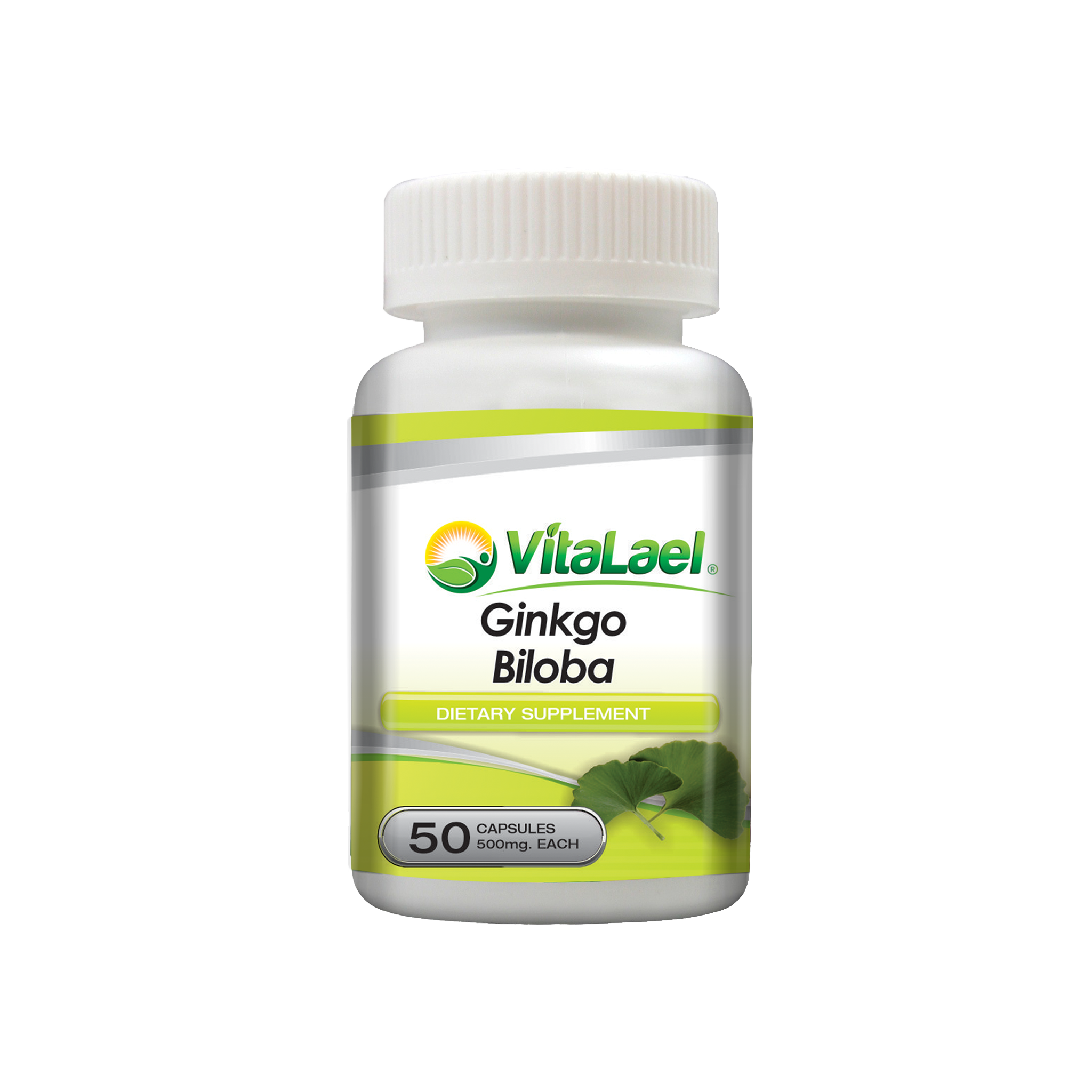 Ginkgo Biloba